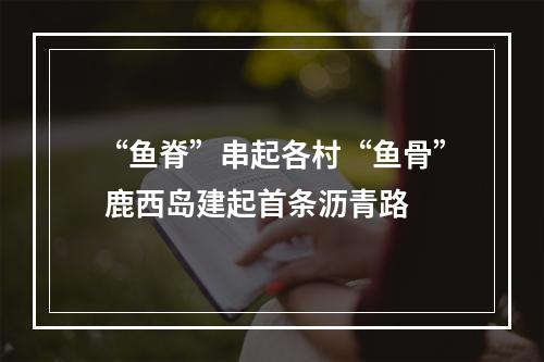 “鱼脊”串起各村“鱼骨” 鹿西岛建起首条沥青路