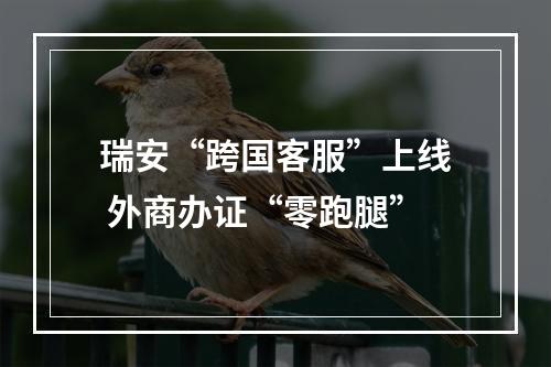 瑞安“跨国客服”上线 外商办证“零跑腿”