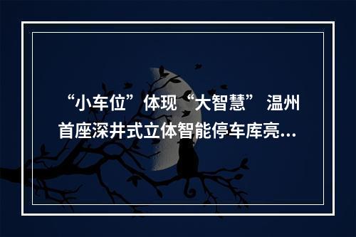 “小车位”体现“大智慧” 温州首座深井式立体智能停车库亮相