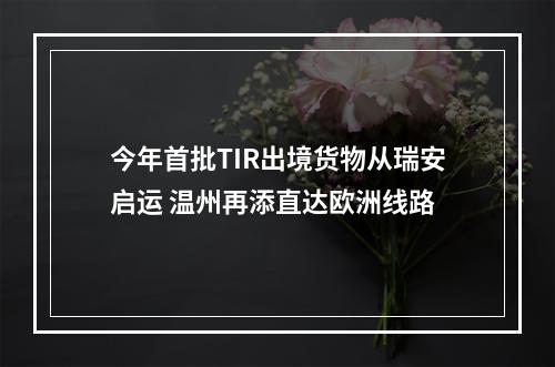 今年首批TIR出境货物从瑞安启运 温州再添直达欧洲线路