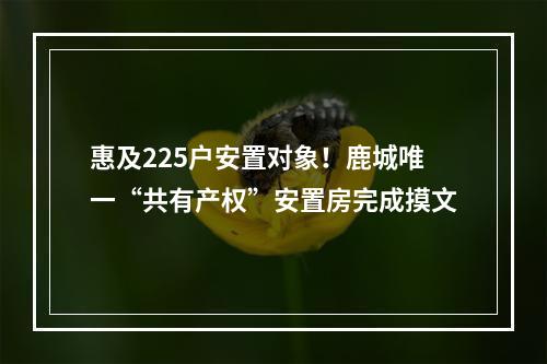 惠及225户安置对象！鹿城唯一“共有产权”安置房完成摸文