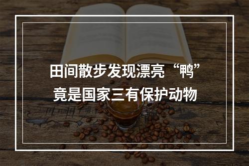 田间散步发现漂亮“鸭” 竟是国家三有保护动物