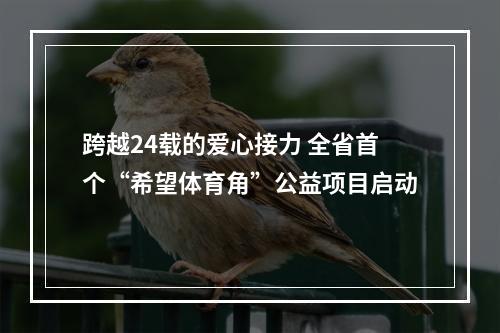 跨越24载的爱心接力 全省首个“希望体育角”公益项目启动