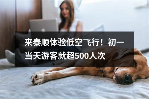 来泰顺体验低空飞行！初一当天游客就超500人次