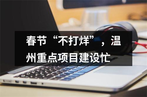 春节“不打烊”，温州重点项目建设忙