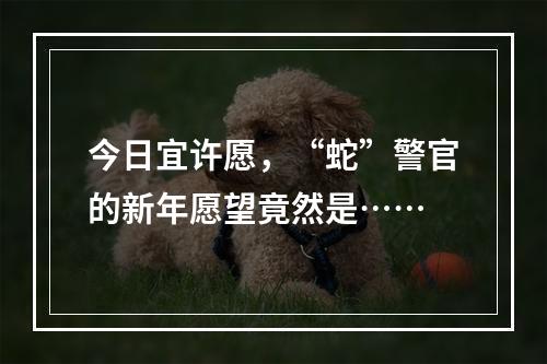 今日宜许愿，“蛇”警官的新年愿望竟然是……