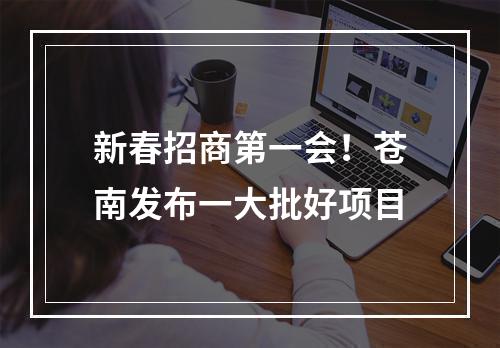 新春招商第一会！苍南发布一大批好项目