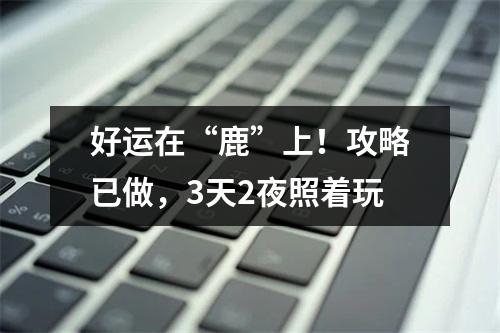 好运在“鹿”上！攻略已做，3天2夜照着玩