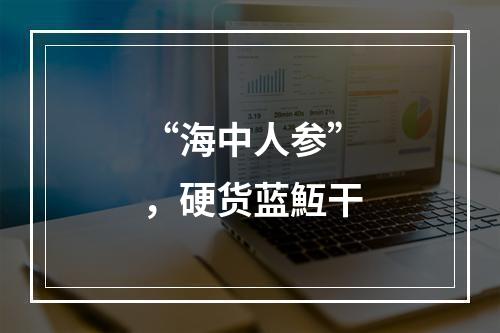 “海中人参”，硬货蓝魱干