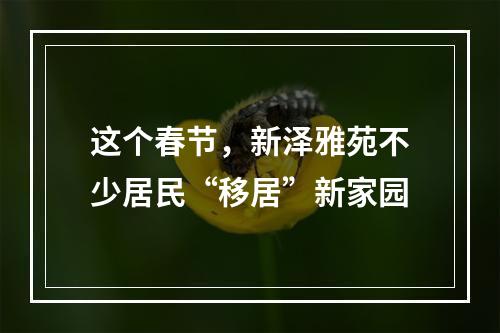 这个春节，新泽雅苑不少居民“移居”新家园