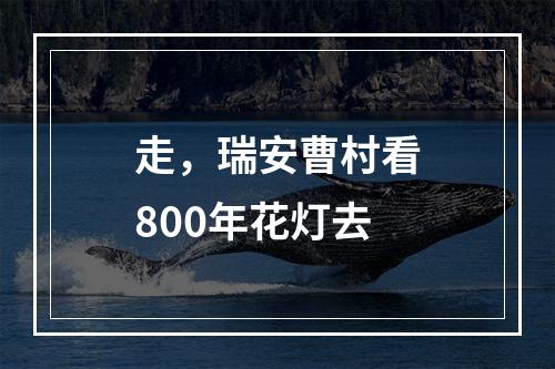 走，瑞安曹村看800年花灯去