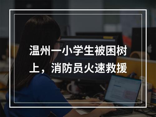 温州一小学生被困树上，消防员火速救援