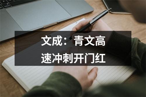 文成：青文高速冲刺开门红