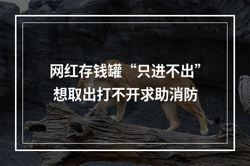 网红存钱罐“只进不出” 想取出打不开求助消防