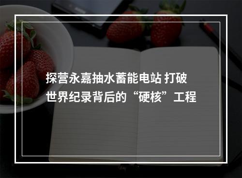 探营永嘉抽水蓄能电站 打破世界纪录背后的“硬核”工程