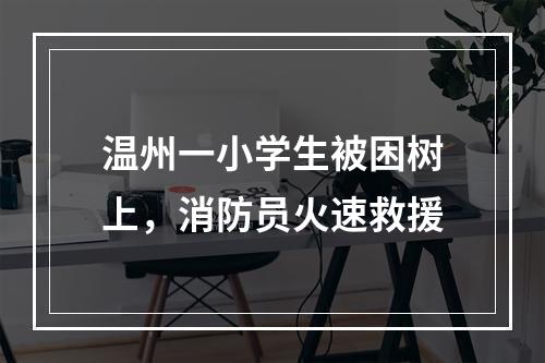 温州一小学生被困树上，消防员火速救援