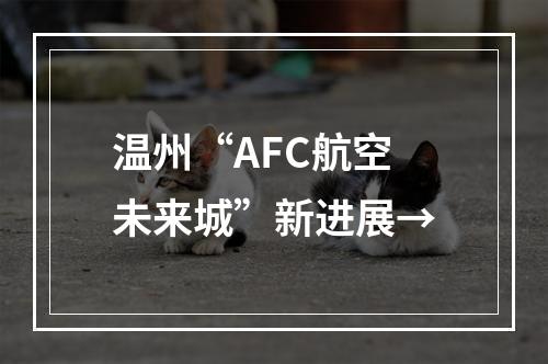 温州“AFC航空未来城”新进展→