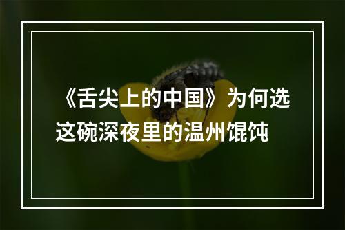 《舌尖上的中国》为何选这碗深夜里的温州馄饨