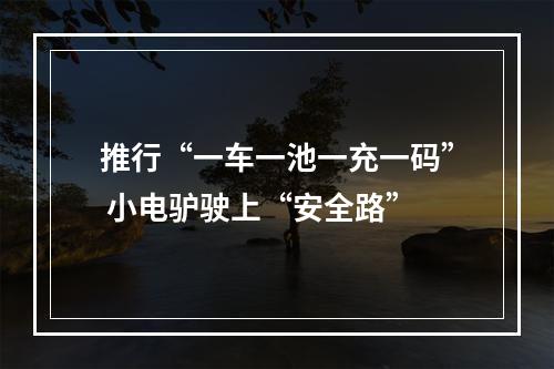 推行“一车一池一充一码” 小电驴驶上“安全路”