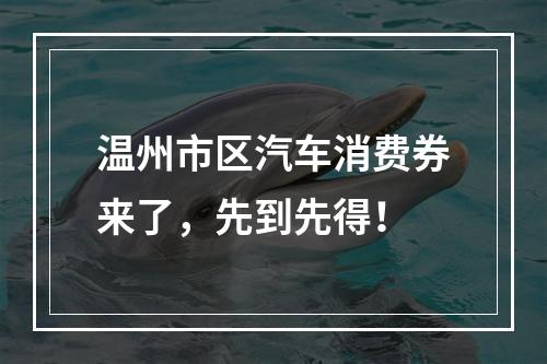温州市区汽车消费券来了，先到先得！