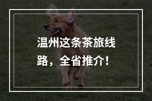 温州这条茶旅线路，全省推介！