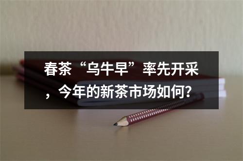 春茶“乌牛早”率先开采，今年的新茶市场如何？