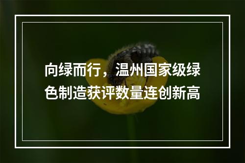 向绿而行，温州国家级绿色制造获评数量连创新高