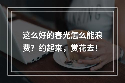 这么好的春光怎么能浪费？约起来，赏花去！