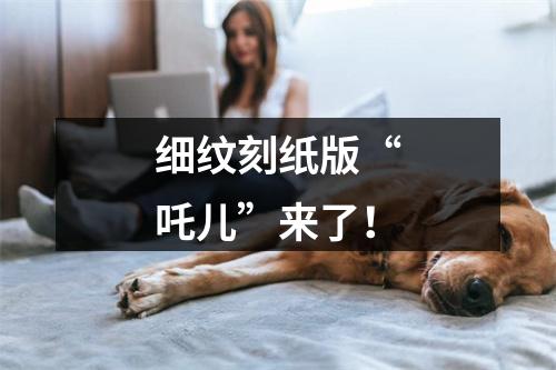 细纹刻纸版“吒儿”来了！