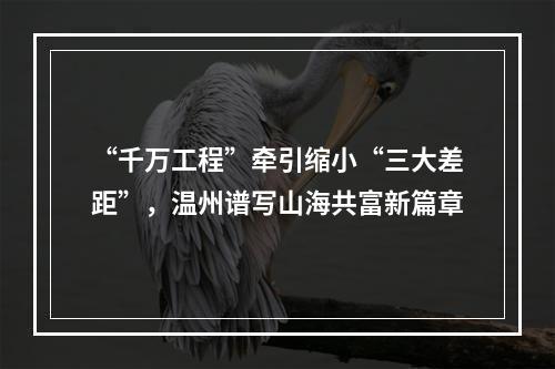 “千万工程”牵引缩小“三大差距”，温州谱写山海共富新篇章