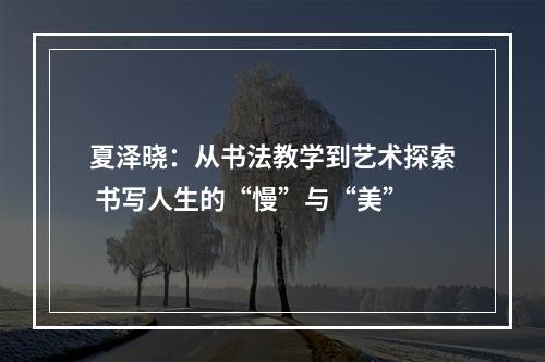 夏泽晓：从书法教学到艺术探索 书写人生的“慢”与“美”
