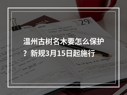 温州古树名木要怎么保护？新规3月15日起施行