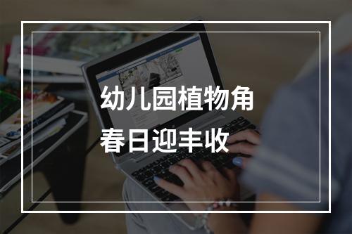 幼儿园植物角春日迎丰收