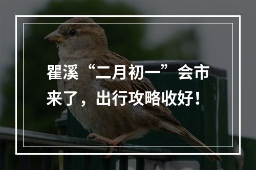 瞿溪“二月初一”会市来了，出行攻略收好！