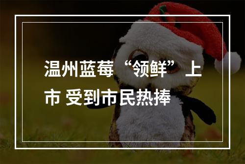 温州蓝莓“领鲜”上市 受到市民热捧