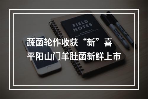 蔬菌轮作收获“新”喜 平阳山门羊肚菌新鲜上市