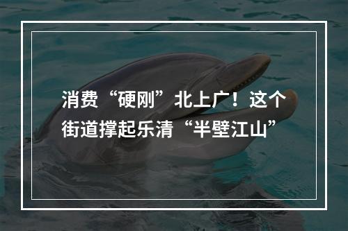 消费“硬刚”北上广！这个街道撑起乐清“半壁江山”