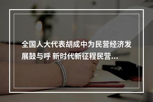全国人大代表胡成中为民营经济发展鼓与呼 新时代新征程民营经济大有可为