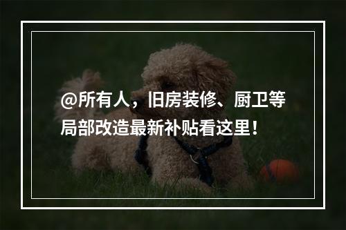 @所有人，旧房装修、厨卫等局部改造最新补贴看这里！