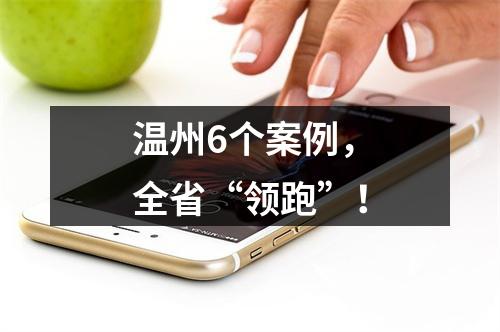 温州6个案例，全省“领跑”！