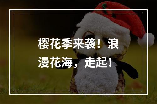 樱花季来袭！浪漫花海，走起！