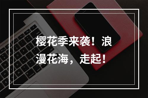 樱花季来袭！浪漫花海，走起！