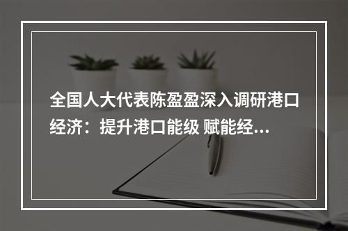 全国人大代表陈盈盈深入调研港口经济：提升港口能级 赋能经济发展