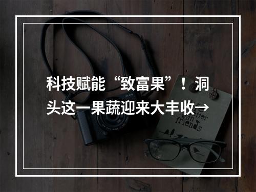 科技赋能“致富果”！洞头这一果蔬迎来大丰收→