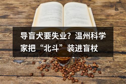 导盲犬要失业？温州科学家把“北斗”装进盲杖