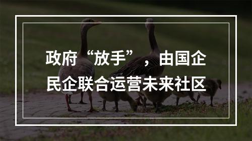 政府“放手”，由国企民企联合运营未来社区