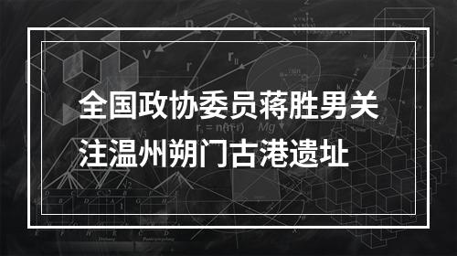 全国政协委员蒋胜男关注温州朔门古港遗址