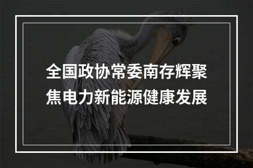 全国政协常委南存辉聚焦电力新能源健康发展