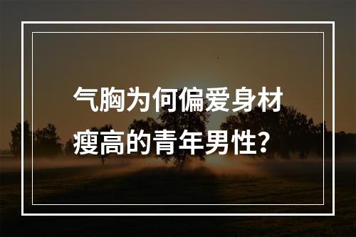 气胸为何偏爱身材瘦高的青年男性？
