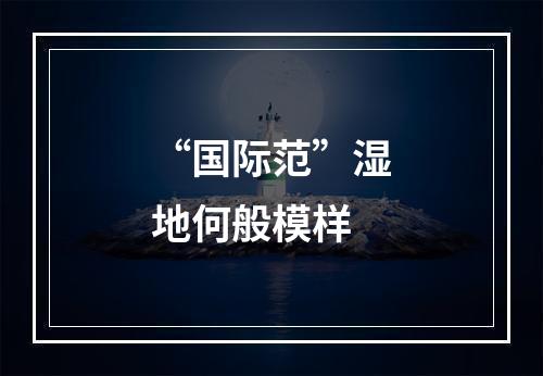 “国际范”湿地何般模样